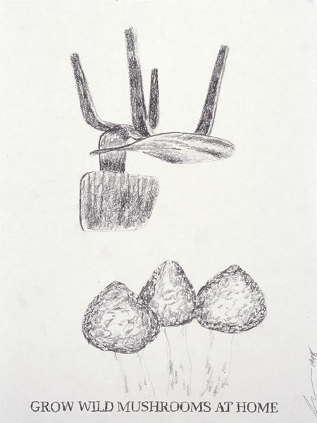 http://samdurant.net/files/gimgs/th-26_10_v18.jpg