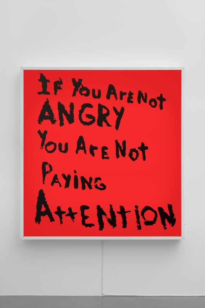 If You Are Not Angry You Are Not Paying Attention