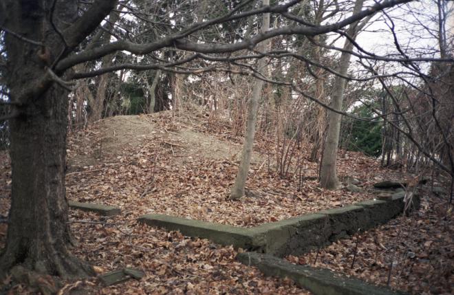 http://samdurant.net/files/gimgs/th-24_50_v2.jpg
