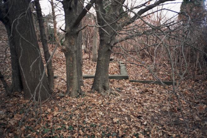 http://samdurant.net/files/gimgs/th-24_51_v2.jpg