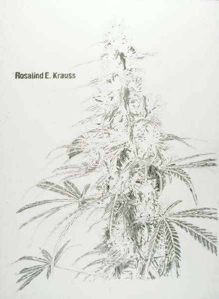 http://samdurant.net/files/gimgs/th-24_2_v13.jpg