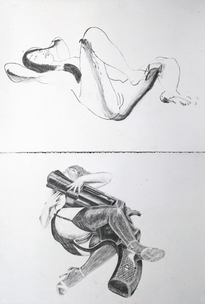http://samdurant.net/files/gimgs/th-23_31_v8.jpg